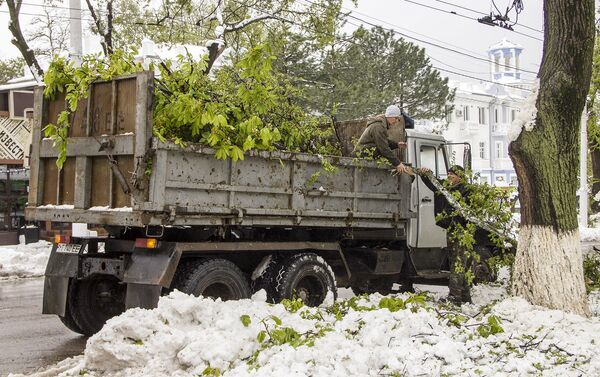 Тирасполь, уборка после разгула стихии Тирасполь, уборка после разгула стихии - Sputnik Молдова