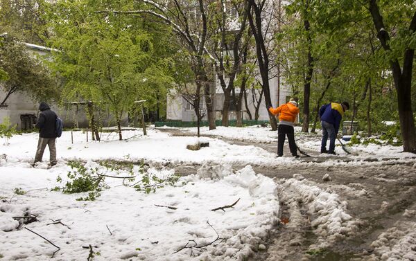 Тирасполь, уборка после разгула стихии Тирасполь, уборка после разгула стихии - Sputnik Молдова
