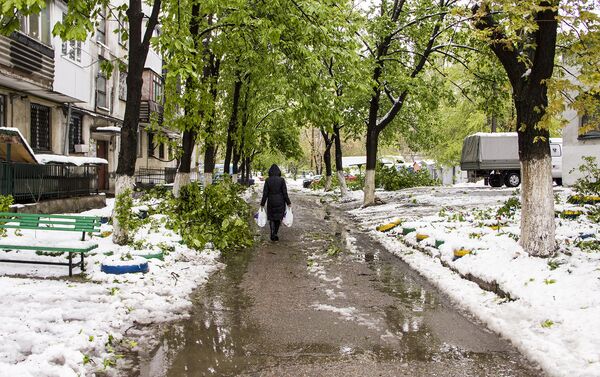 Тирасполь, уборка после разгула стихии Тирасполь, уборка после разгула стихии - Sputnik Молдова