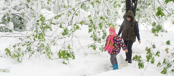 Снегопад в Кишиневе 21.04.2017 Снегопад в Кишиневе 21.04.2017 - Sputnik Moldova-România
