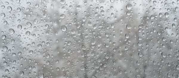 Дождь - Sputnik Moldova