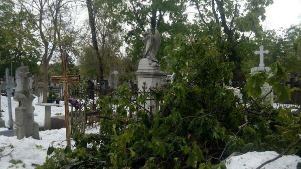 Армянское кладбище в Кишиневе после снегопада в конце апреля Армянское кладбище в Кишиневе после снегопада в конце апреля - Sputnik Молдова