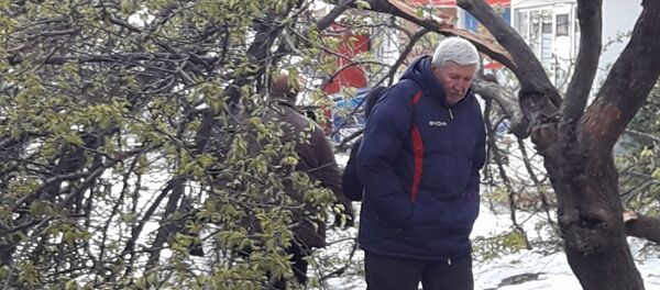 Din cauza inacțiunii autorităților trotuarele din sectorul Buiucani al capitalei sunt blocate a patra zi consecutiv de copacii doborâți de ninsoare - Sputnik Moldova