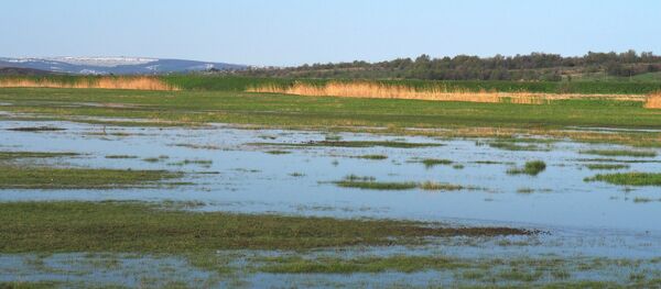 Половодье Половодье - Sputnik Молдова