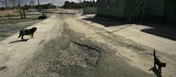 КПП на въезде в Припять - Sputnik Молдова