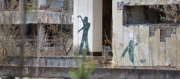 Зона отчуждения Чернобыльской АЭС Зона отчуждения Чернобыльской АЭС - Sputnik Молдова