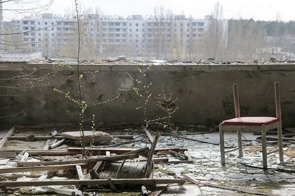 Деревья в заброшенном городе растут уже и на балконах - Sputnik Молдова