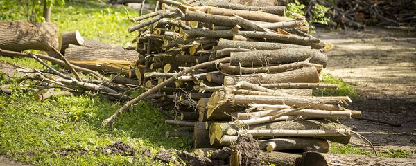 Последствия непогоды  - Sputnik Moldova-România