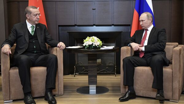 Встреча президента РФ В. Путина с президентом Турции Р. Эрдоганом - Sputnik Moldova-România