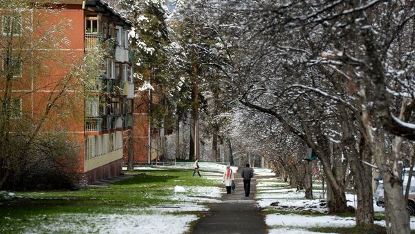 Жители на улице после снегопада в Новосибирском Академгородке - Sputnik Молдова