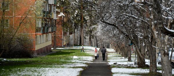 Жители на улице после снегопада в Новосибирском Академгородке Жители на улице после снегопада в Новосибирском Академгородке - Sputnik Молдова