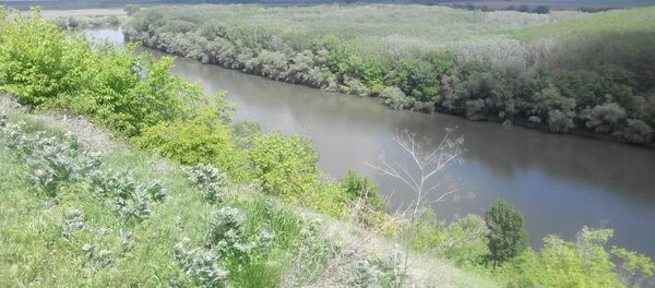 Этот крутой берег Днестра в августе 1944 года форсировали советские войска под градом немецких снарядов - Sputnik Молдова