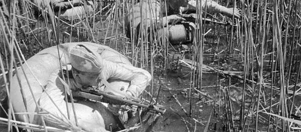 Разведка в плавнях - Sputnik Молдова