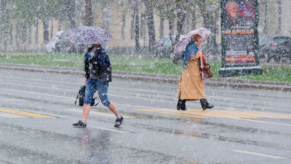 Пешеходы переходят дорогу в Москве во время снегопада - Sputnik Moldova