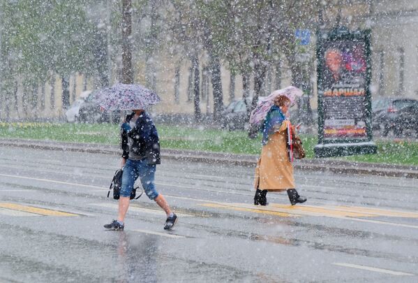 Пешеходы переходят дорогу в Москве во время снегопада - Sputnik Молдова