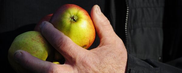 Яблоки - Sputnik Молдова