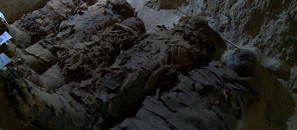 Археологи нашли в Египте 17 мумий Археологи нашли в Египте 17 мумий - Sputnik Молдова