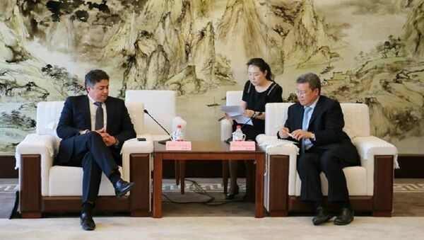 Министр экономики Октавиан Калмык в Китае на переговорах - Sputnik Молдова