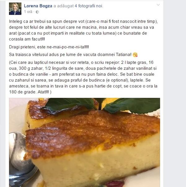 Lorena Bogza, postare facebook, captură ecran Lorena Bogza, postare facebook, captură ecran - Sputnik Moldova-România