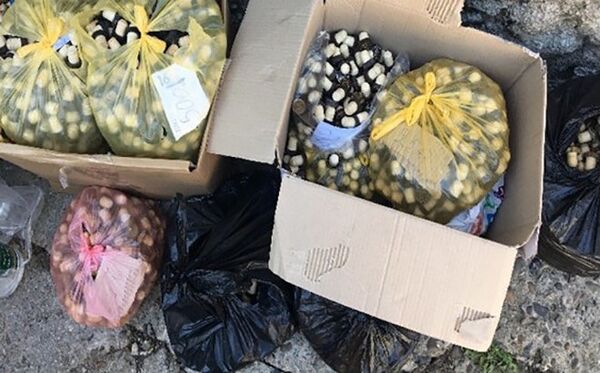 Băuturi alcoolice contrafăcute în valoare de circa 50 mii de lei, confiscate de poliție Băuturi alcoolice contrafăcute în valoare de circa 50 mii de lei, confiscate de poliție - Sputnik Moldova