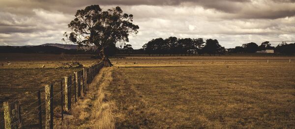 Teren agricol - Sputnik Moldova
