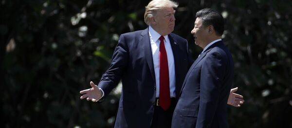 President Donald Trump gestures as he and Chinese President Xi Jinping walk together after their meetings at Mar-a-Lago in Palm Beach, Fla - Sputnik Moldova-România