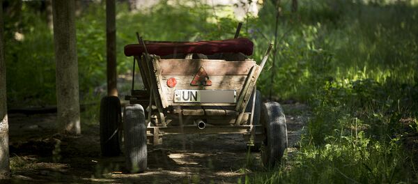 Телега - Sputnik Moldova