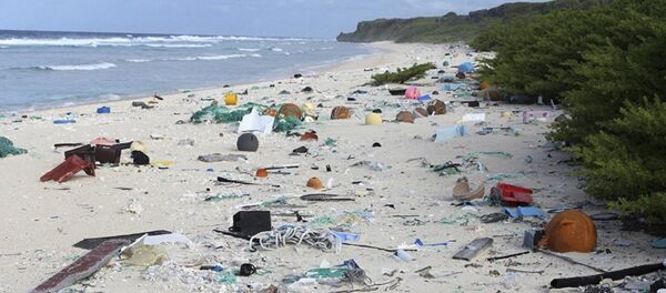 Необитаемый остров Хендерсон - Sputnik Молдова