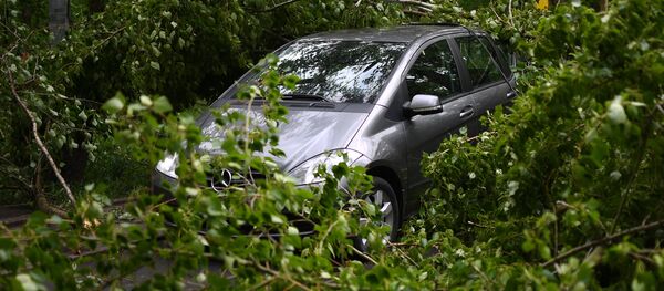 Последствия ветра. Последствия ветра. - Sputnik Молдова