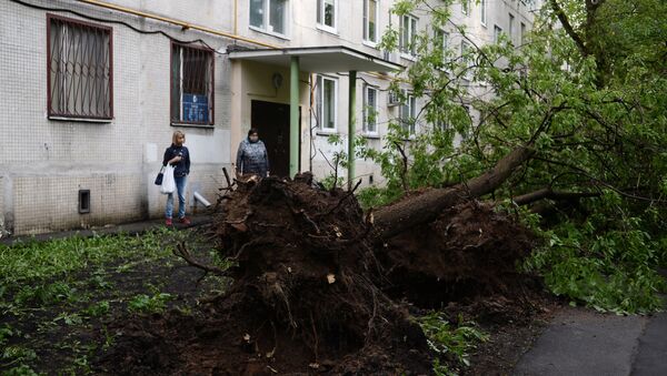 Последствия урагана в Москве - Sputnik Молдова
