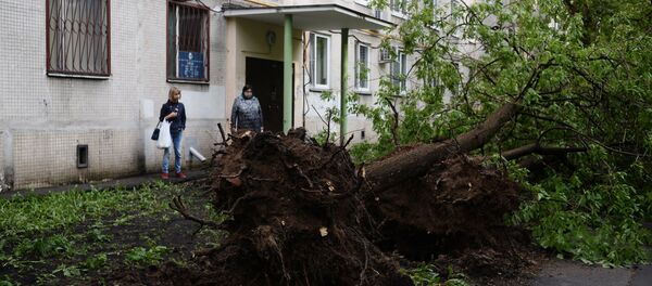 Последствия урагана в Москве Последствия урагана в Москве - Sputnik Молдова