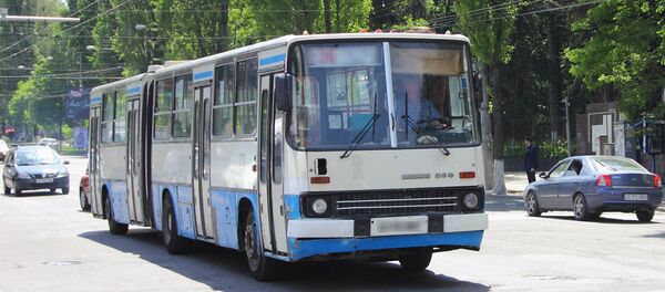 Автобус - Sputnik Moldova