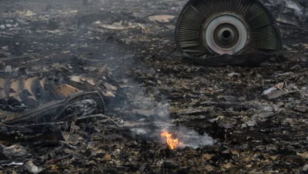 На месте крушения малайзийского самолета Boeing 777 в районе города Шахтерск Донецкой области - Sputnik Moldova