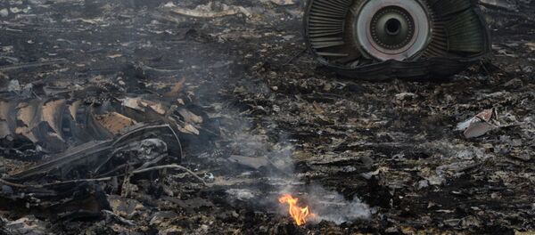 На месте крушения малайзийского самолета Boeing 777 в районе города Шахтерск Донецкой области - Sputnik Moldova