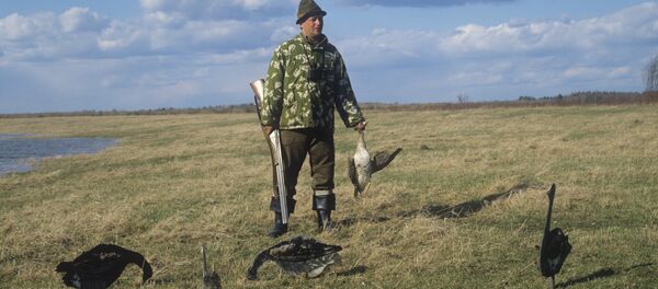 Подсадная дичь - залог успешной охоты Подсадная дичь - залог успешной охоты - Sputnik Moldova