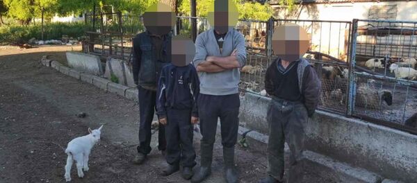 Ferma de animale - Sputnik Moldova