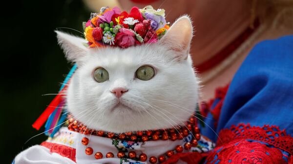 Женщина в национальной одежде со своей кошкой - Sputnik Молдова