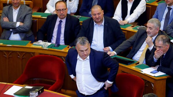 Hungarian Prime Minister Viktor Orban arrives to a vote on a bill tightening regulations on foreign universities operating in Hungary. - Sputnik Moldova-România