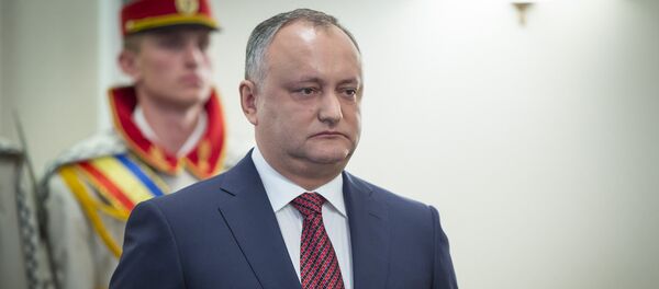 Președintele Igor Dodon Președintele Igor Dodon - Sputnik Moldova