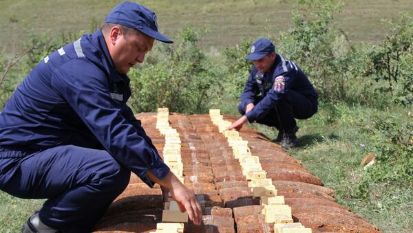 Nimicirea munițiilor găsite în regiunea Voronej - Sputnik Moldova-România