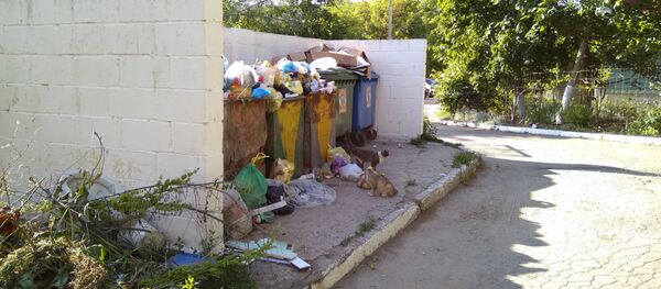 Tomberoane de gunoi în Chișinău - Sputnik Moldova