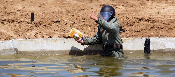 Genist - Sputnik Moldova