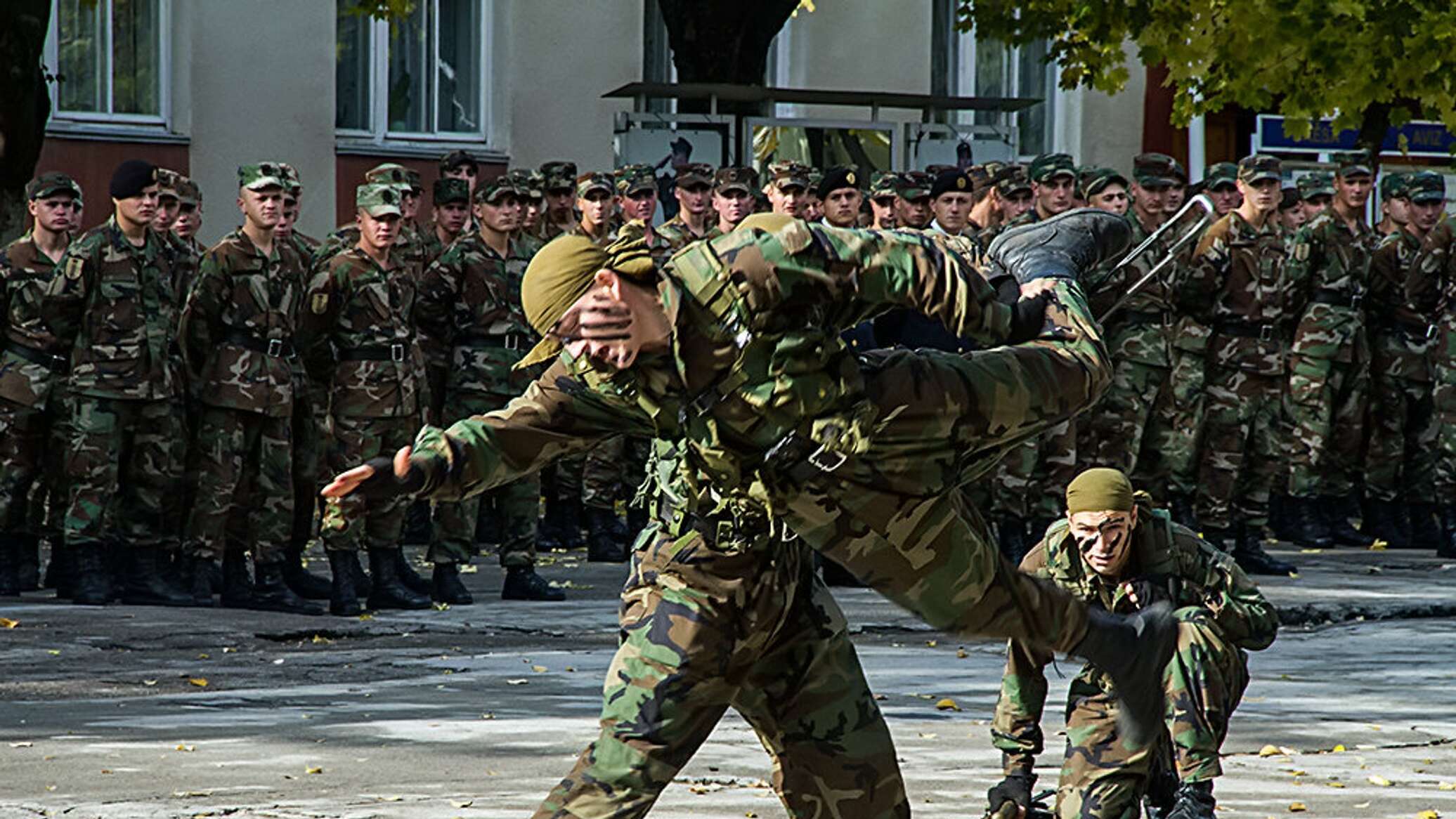 Оборона молдавии. Молдавские войска. Сухопутные войска Молдавии.