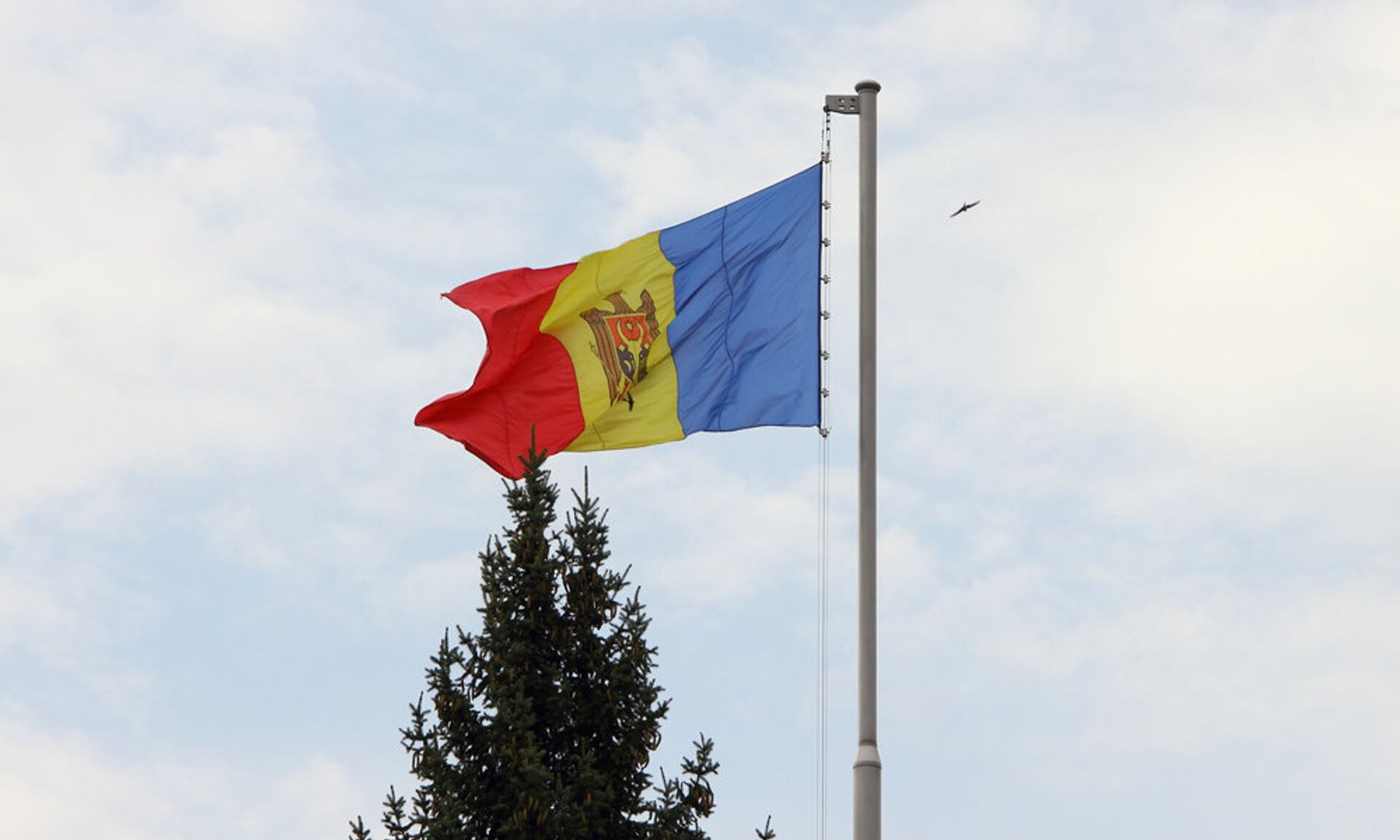 Посольство России поздравило Молдову с Днем Государственного флага - Sputnik Молдова, 1920, 27.04.2021