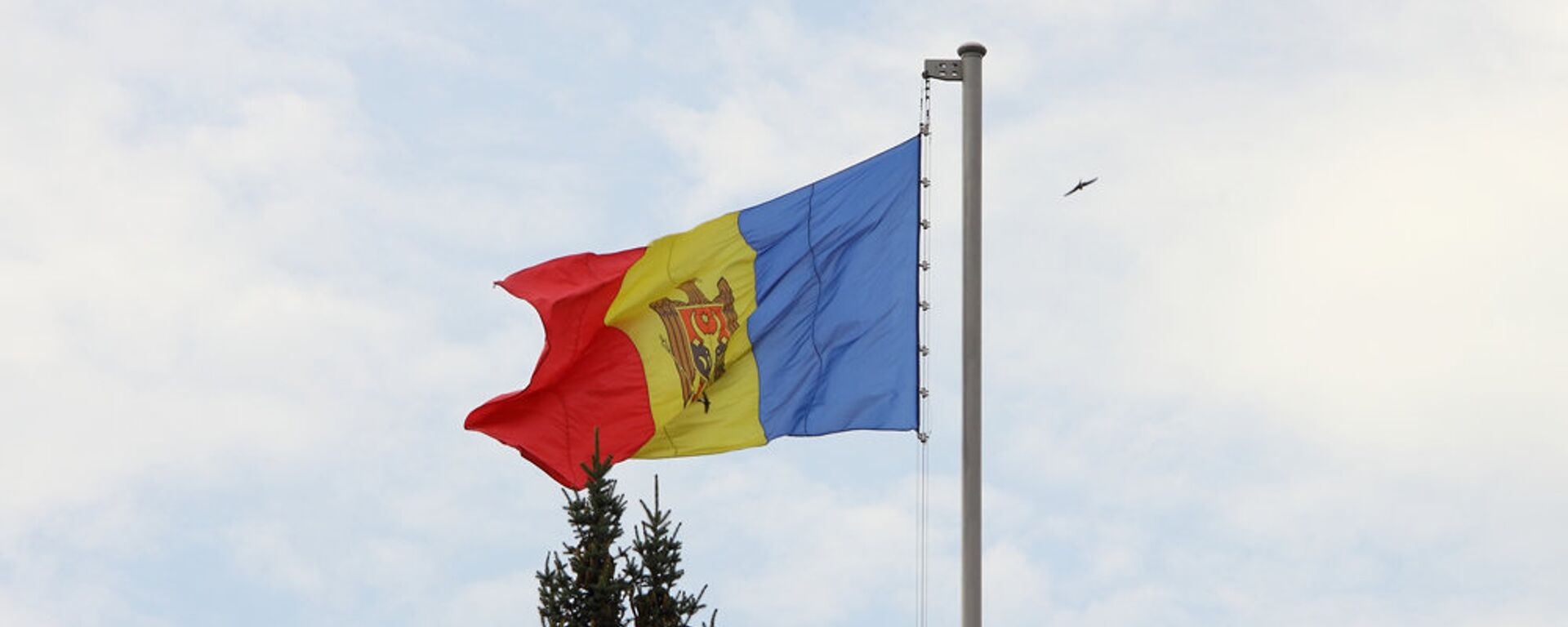Steag Флаг Молдовы - Sputnik Moldova, 1920, 02.04.2021