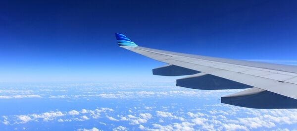 Wing of plane Wing of plane - Sputnik Moldova-România