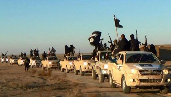In this undated file photo released by a militant website, which has been verified and is consistent with other AP reporting, militants of the Islamic State group hold up their weapons and wave its flags on their vehicles in a convoy on a road leading to Iraq, while riding in Raqqa city in Syria - Sputnik Moldova-România