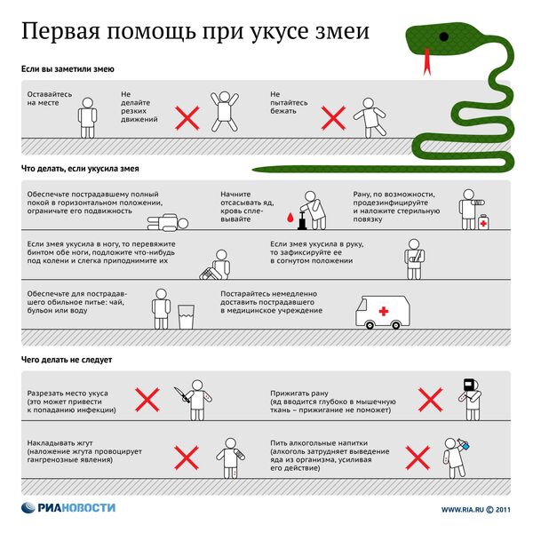 Первая помощь при укусе змеи - Sputnik Молдова