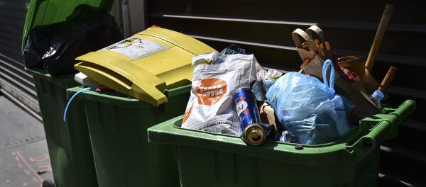 Мусорный бак - Sputnik Молдова