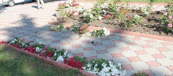 Вандализм у примэрии Яловен - Sputnik Молдова